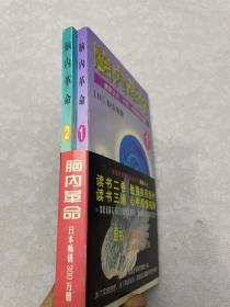 脑内革命 第一卷:重新认识、开发、利用你的大脑：重新认识、开发、利用你的大脑--第一卷的新描述