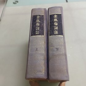 金瓶梅词话（上下册）