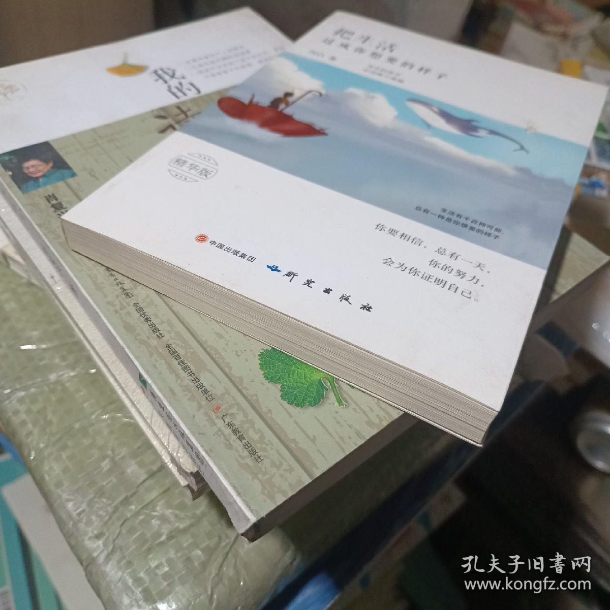 把生活过成你想要的样子（精华版）