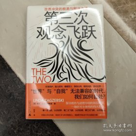 第三次观念飞跃