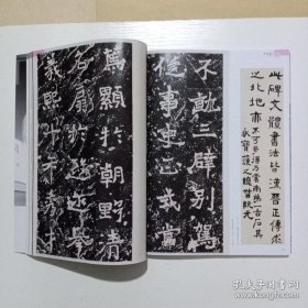 《中国书法》杂志，“二爨”书法研究专题（共67页） ，“二爨”对沈曾植书法的影响 ，沈曾植临“爨宝子碑”（轴、横幅），“二爨”原石、拓本赏析，王镛书法专题（相关内容34页），王镛书法作品选集，王镛：书画印的交融与生发，王镛谈艺录，魏哲书法精品赏析，魏哲：草书断想，魏哲书法述评，曾熙书法特辑（共42页），叶梅：曾熙书学观研究，曾熙隶书课徒卷（折页），曾熙研究摘编，曾熙隶书节临《华山碑》，……