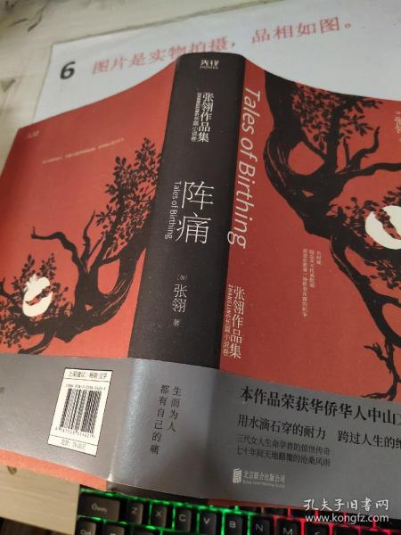 阵痛：张翎作品集·长篇小说卷（一部长篇巨著，入木三分刻画女性坚强生命形态）