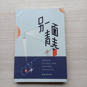 现货《作业帮另一面青春青春励志文学谁的青春不迷茫21个故事教你直面困惑》