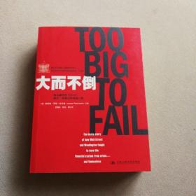 大而不倒：2010年全球政要和首席执行官争相阅读的金融危机启示录