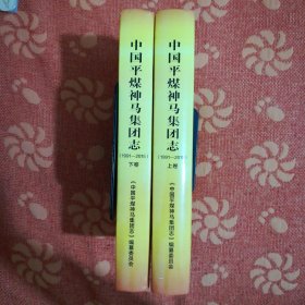 中国平煤神马集团志<1991一2015> (全两册)