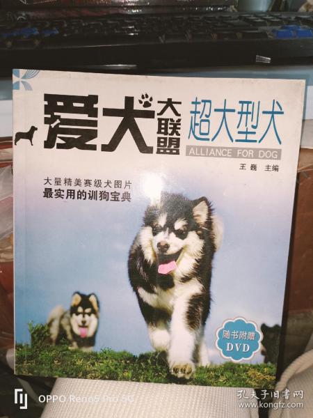 爱犬大联盟：超大型犬