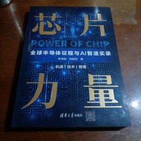 芯片力量：全球半导体征程与AI智造实录