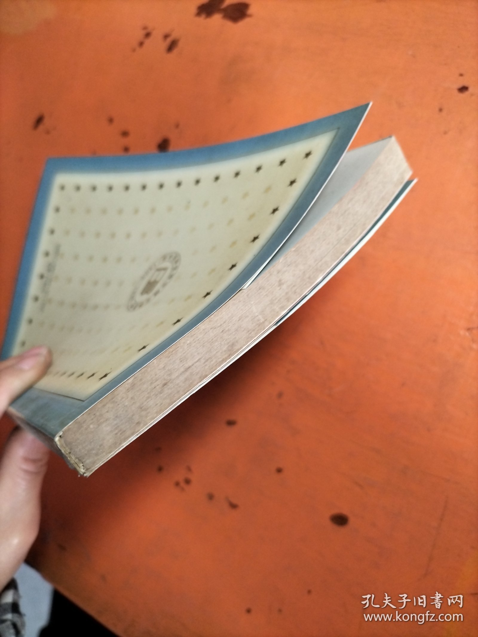 百年百种优秀中国文学图书：蒲桥集