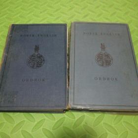 norsk engels 英语挪威语 挪威语英语辞典两本合售