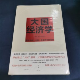 大国经济学：面向长期、全局、多维的中国发展（系统解读中国经济的通识之作，陆铭、杨汝岱等十位一流经济学家协力打造，构建理解当代中国发展的新常识）