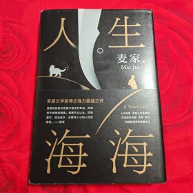 麦家：人生海海（茅盾文学奖得主麦家2019年强力之作）