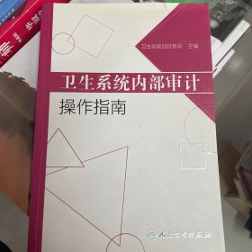 卫生系统内部审计操作指南