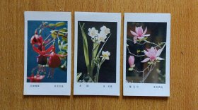 年历片 花卉三张合售（1983年）【人民美术出版社出版】