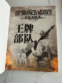 全景二战系列 王牌部队+二战之谜（彩图版）两本合售