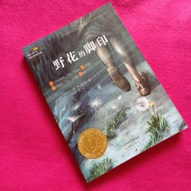 国际大奖小说·成长版——野花的脚印