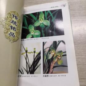 植兰手记