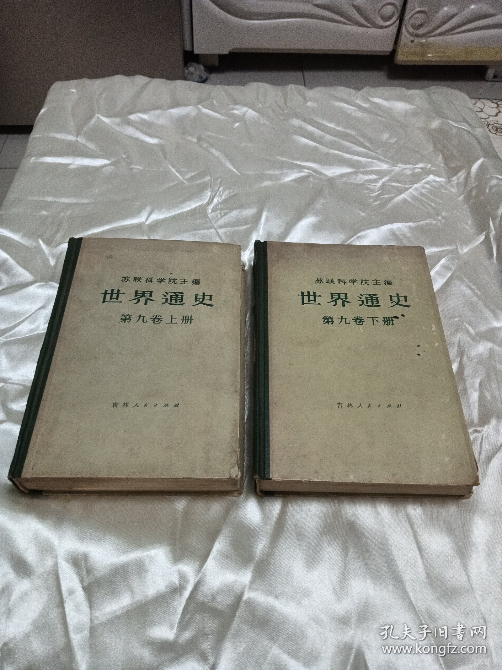 世界通史（第九卷上下册）