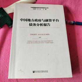 中国地方政府与融资平台债务分析报告