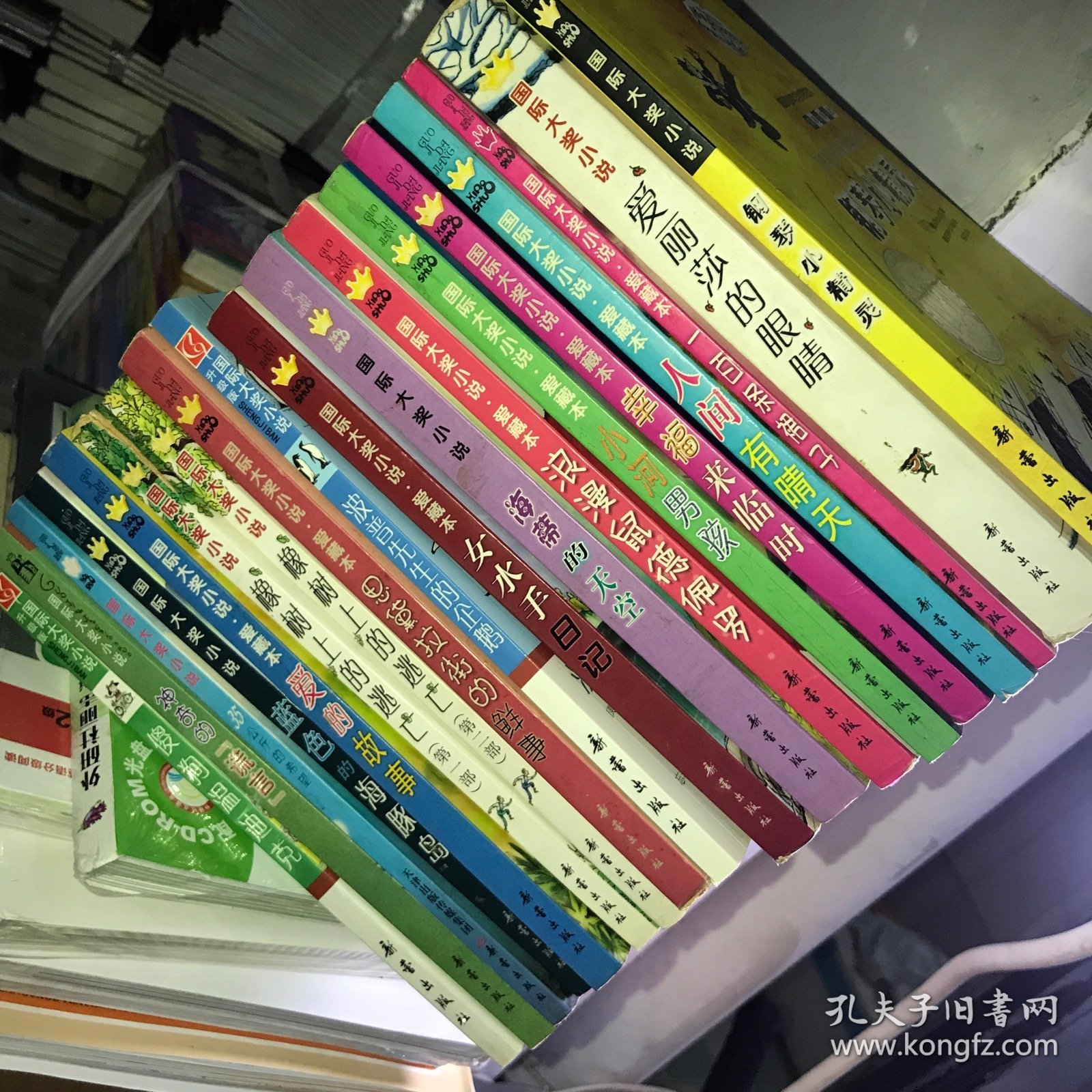 国际大奖小说