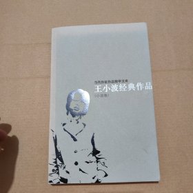 王小波经典作品：小说卷、杂文卷