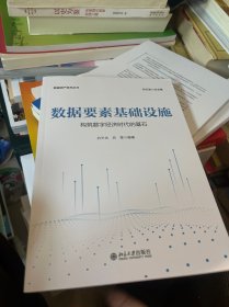 数据要素基础设施：构筑数字经济时代的基石