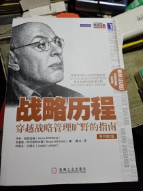 战略历程：穿越战略管理旷野的指南(原书第2版)