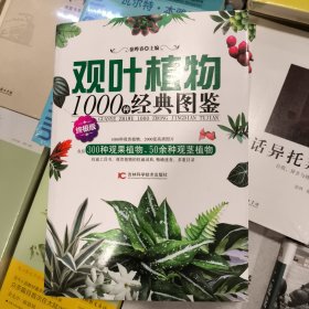 正版库存观叶植物1000种经典图鉴