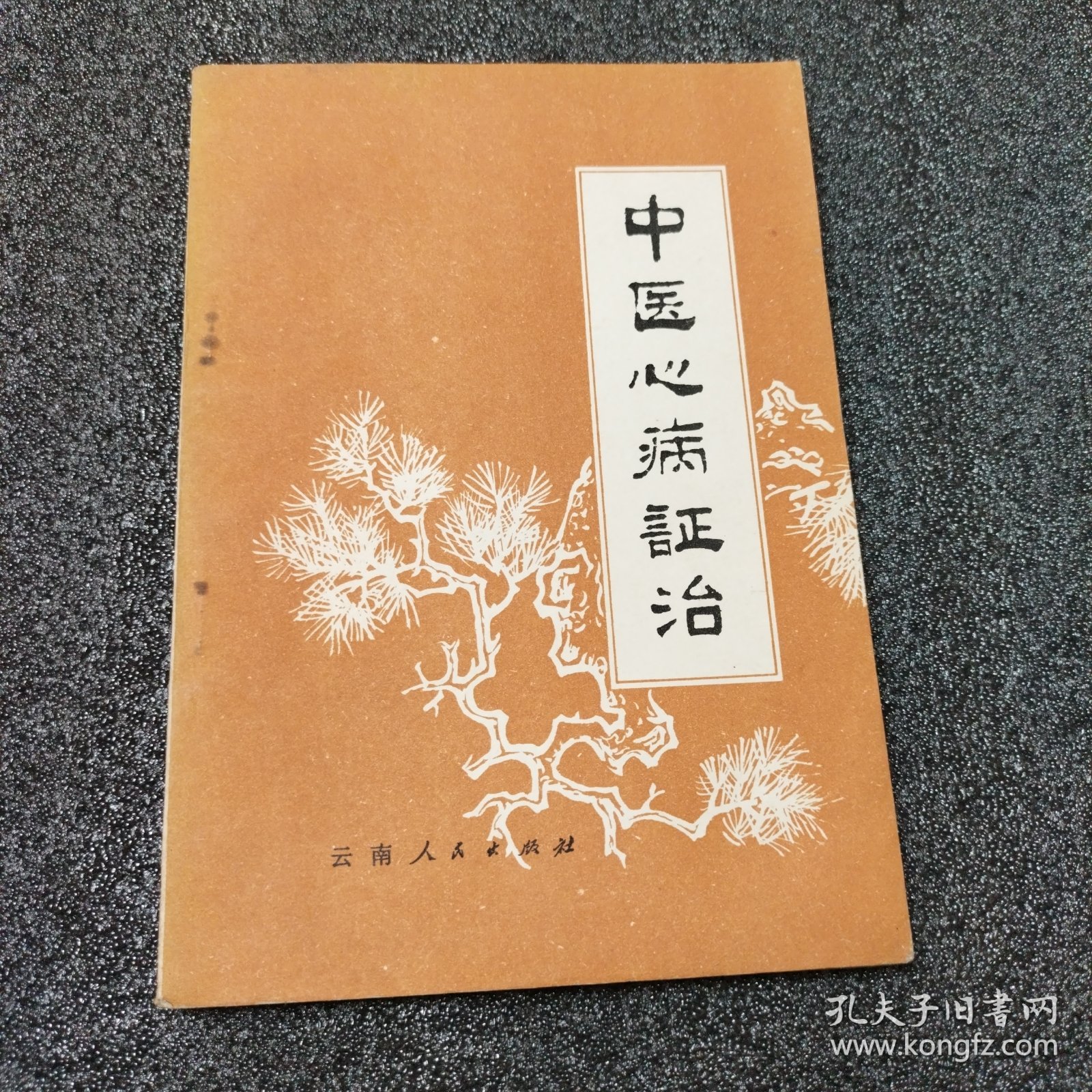 中医心病证治