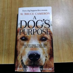 A Dog's Purpose  A Novel for Humans