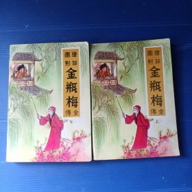 绘图评点金瓶梅全传（上下册）