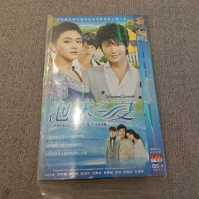 泡沫之夏 DVD2碟装光碟