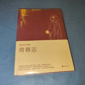 易中天中华史 第四卷：青春志(插图升级版）