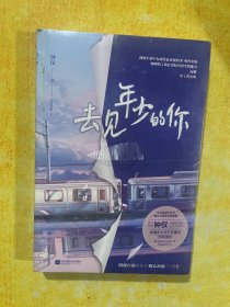 去见年少的你