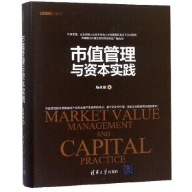 市值管理与资本实践(精)/资本之道系列丛书
