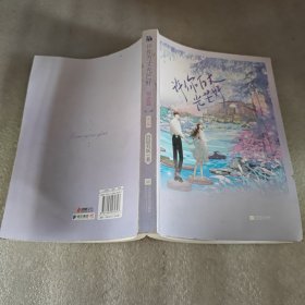 许你万丈光芒好·偕老篇第二册