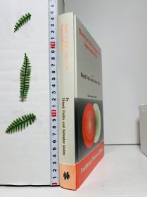 原版现货 《Theory of High Temperature Superconductivity》（《高温超导理论》）