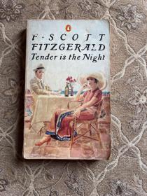 f.scott fitzgerald jender is the night