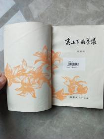 《高山下的花环》对越自卫反击战题材小说，曾经让我哭了多少次看过的书籍，曾经让多少人伤心落泪！曾记得在上世纪80年代看《高山下的花环》这部电影，露天的电影场抽泣声连成一片，雷军长的儿子……，请您往下看