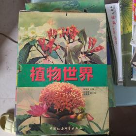 植物世界