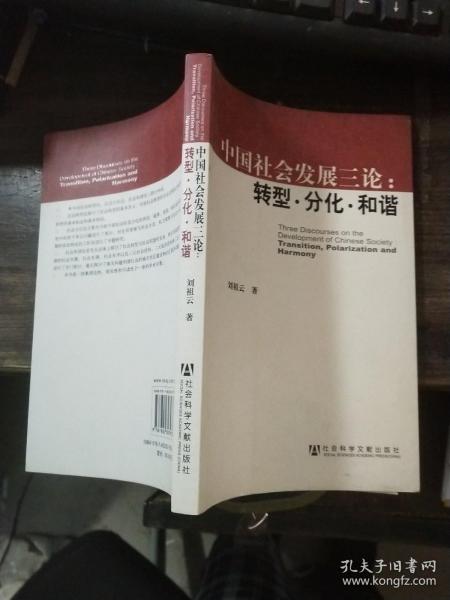 中国社会发展三论：转型·分化·和谐