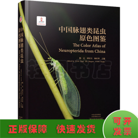 中国脉翅类昆虫原色图鉴