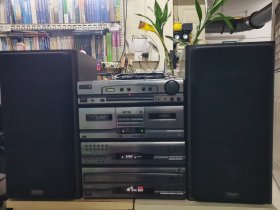 PIONEER先锋 S-J100D高端组合音响