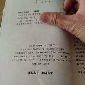 我钻进了金字塔