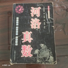 河洛真数