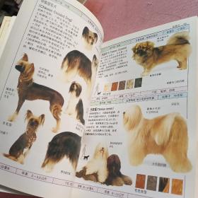 名犬   全世界300  多种名犬的彩色图鉴