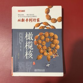 品鉴系列 橄榄核