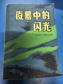 夜幕中的闪光 200333