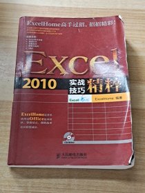 Excel 2010实战技巧精粹