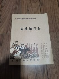 黑龙江省虎林市政协文史资料 第八辑 虎林知青史 大16开