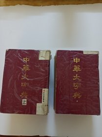 中华大字典(缩印本全二册)